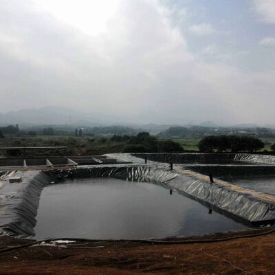 ژئوممبران HDPE صاف 1.5 میلی‌متری مقاوم در برابر اشعه ماوراء بنفش برای مخازن آبیاری کشاورزی