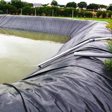 ورق لاینر ژئوممبران HDPE ضد آب Root Barrier برای عایق کاری روف گاردن تجاری
