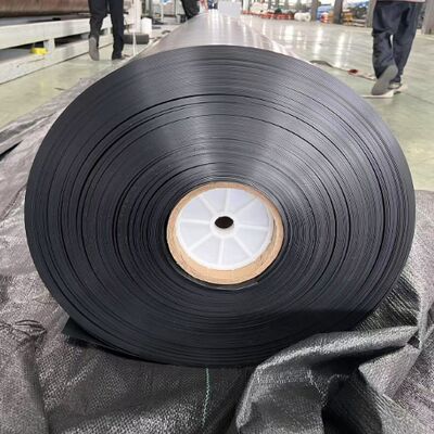 0.75mm 1.25mm HDPE Geomembrane Liner برای استخر کباب آبزیان