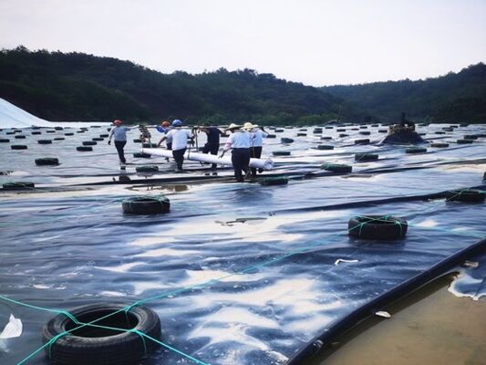 1.5mm HDPE Geomembrane Liner با مقاومت شیمیایی تخصصی برای پد های خروجی سنگ معدن