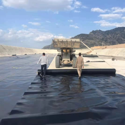 ورق لاینر ژئوممبران HDPE ضد آب Root Barrier برای عایق کاری روف گاردن تجاری